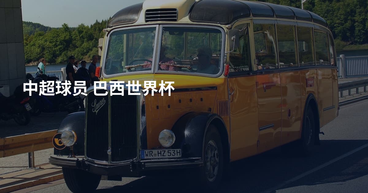 中超球员 巴西世界杯