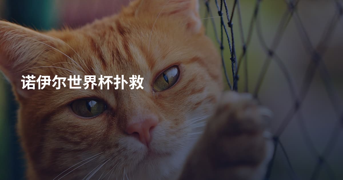 诺伊尔世界杯扑救