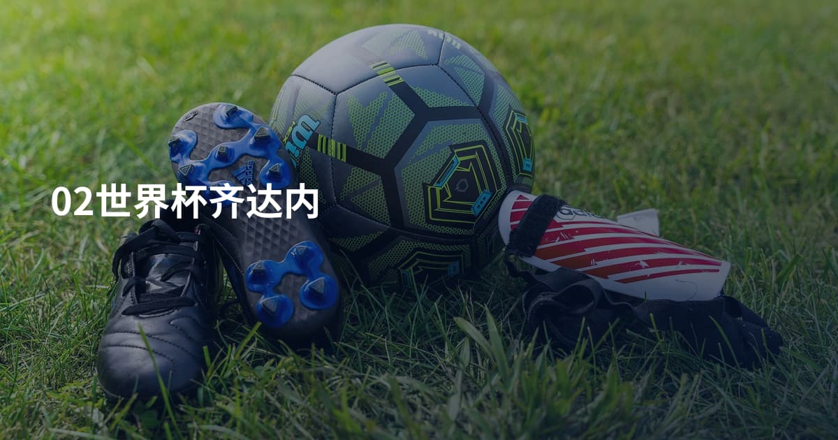 02世界杯齐达内