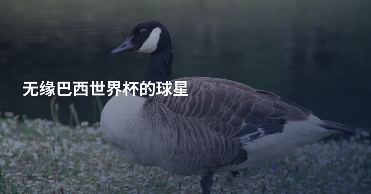 无缘巴西世界杯的球星