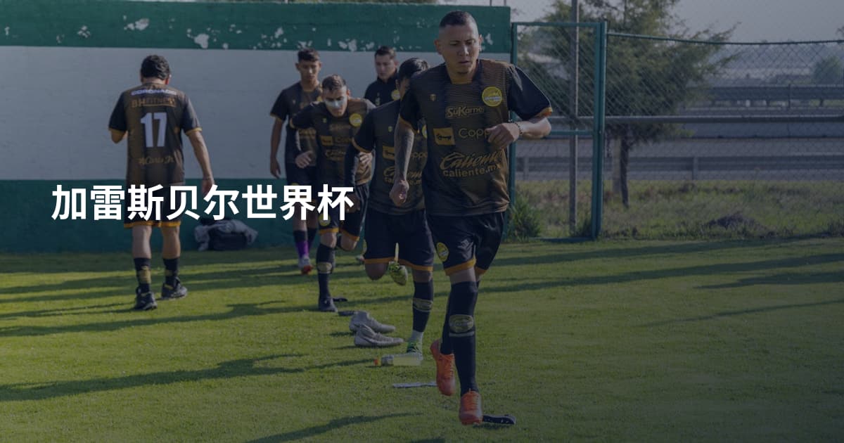 加雷斯贝尔世界杯