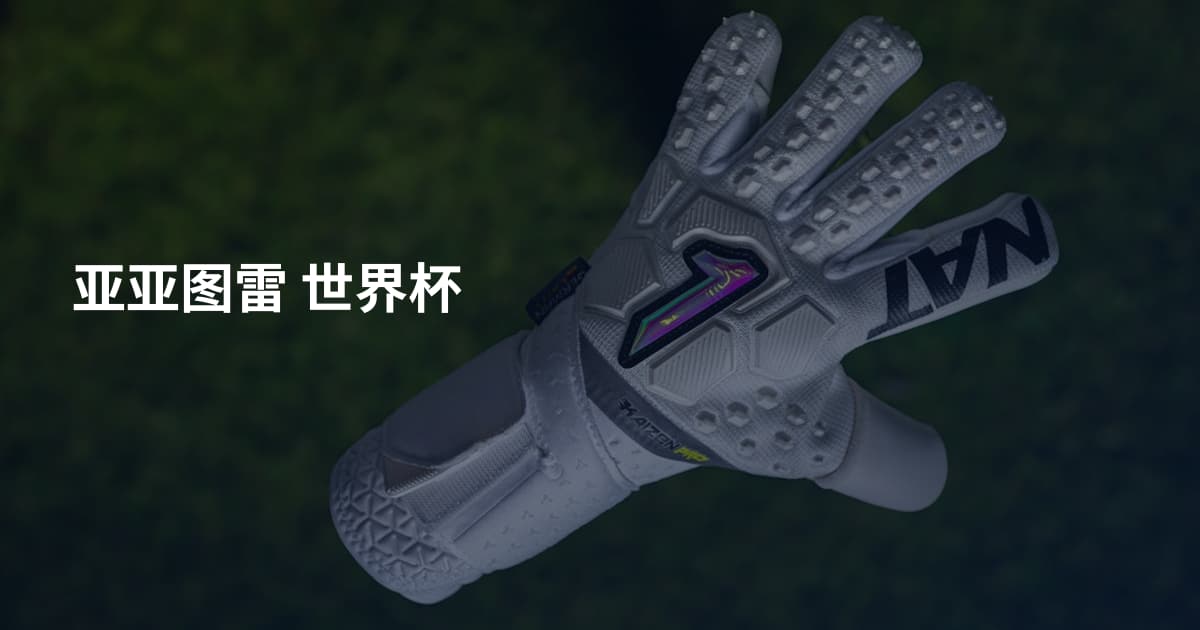 亚亚图雷 世界杯