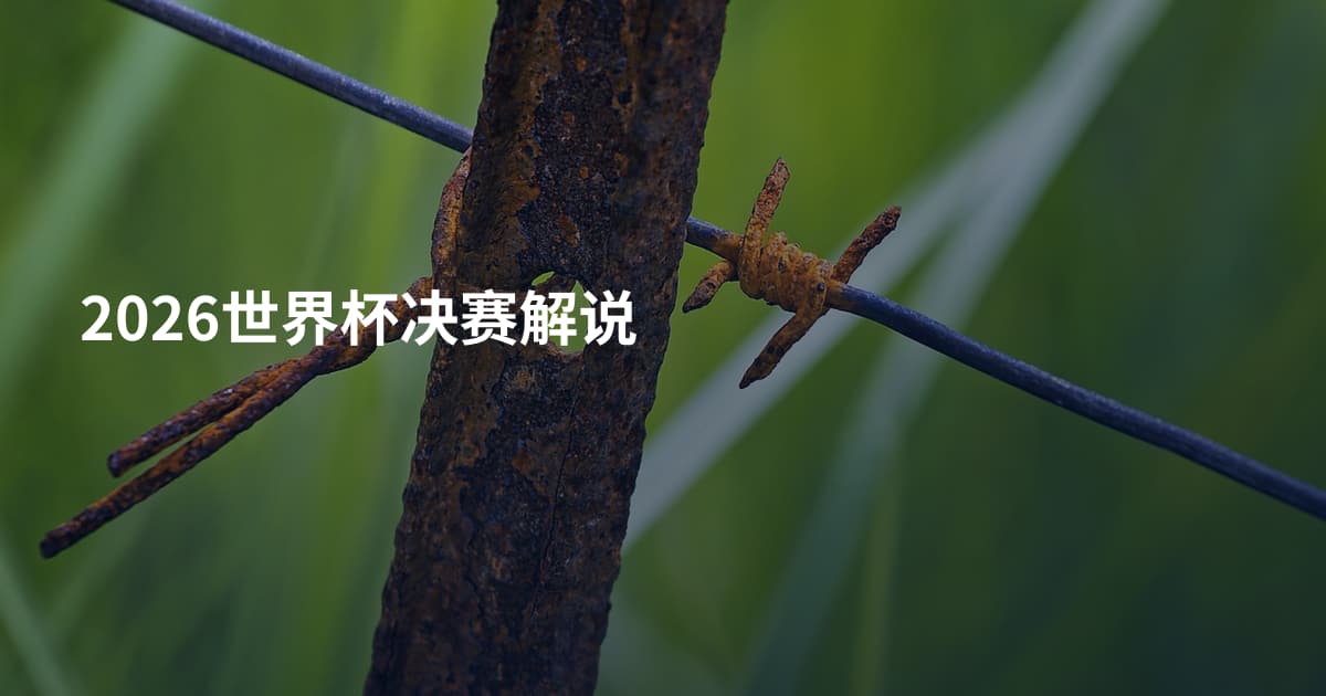 2026世界杯决赛解说