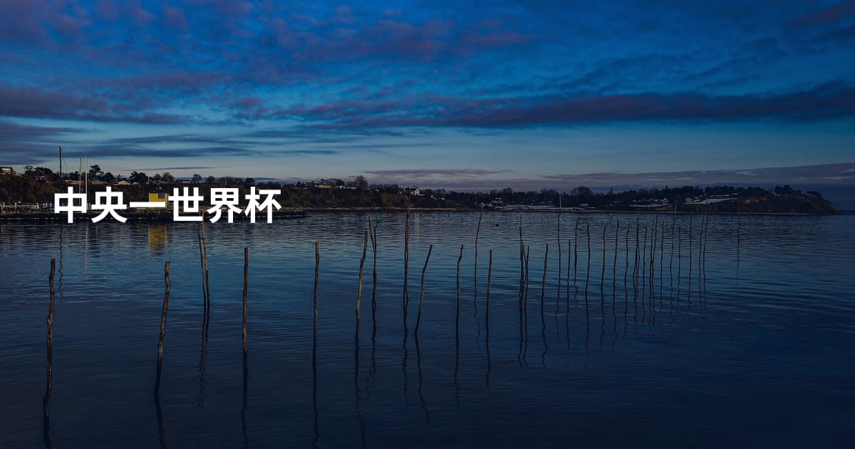 中央一世界杯