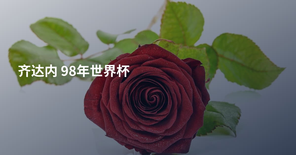 齐达内 98年世界杯