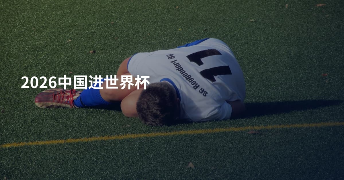 2026中国进世界杯