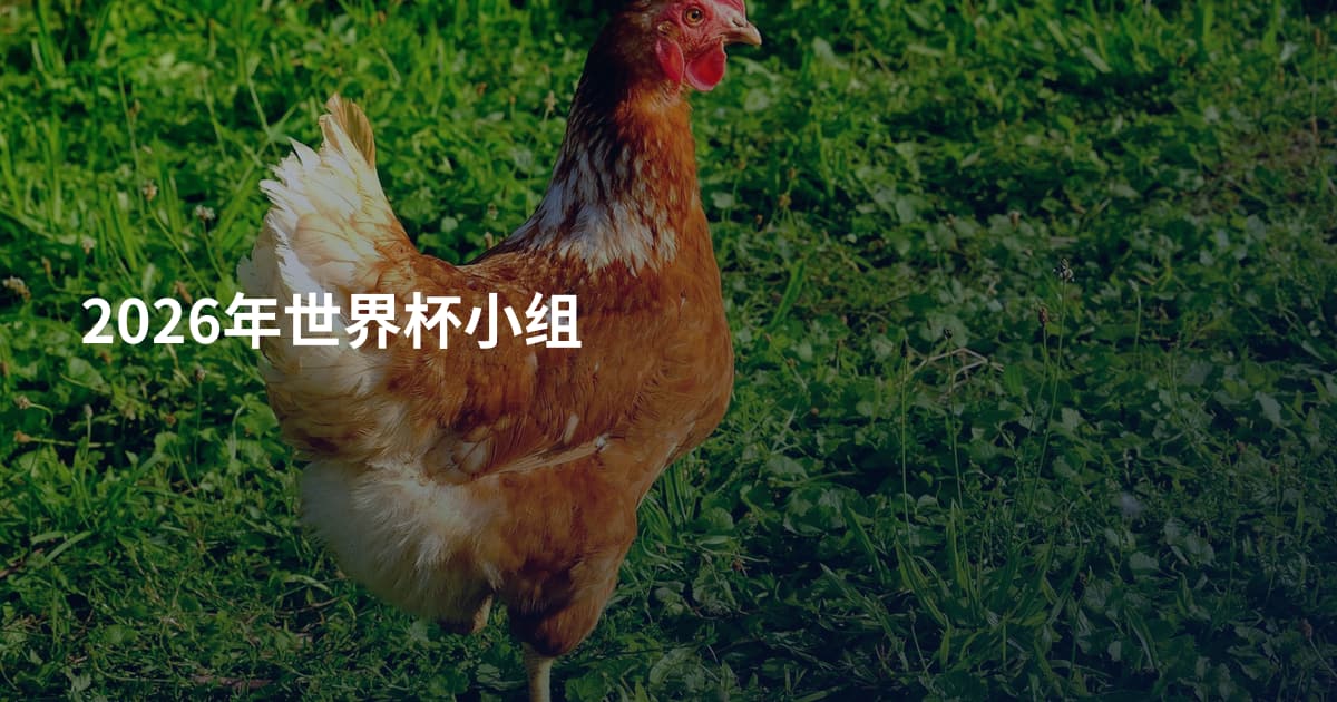 2026年世界杯小组