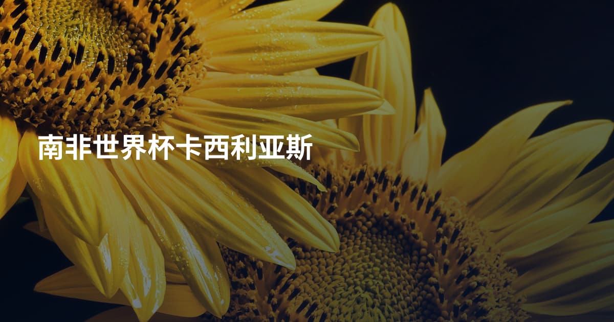 南非世界杯卡西利亚斯