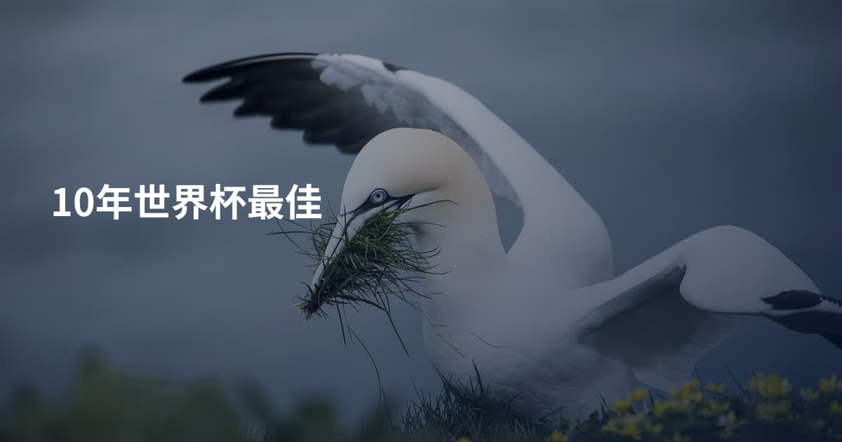 10年世界杯最佳