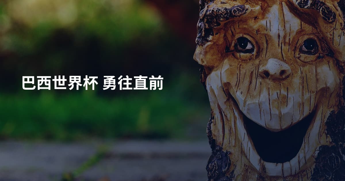 巴西世界杯 勇往直前
