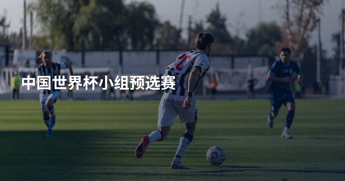 中国世界杯小组预选赛