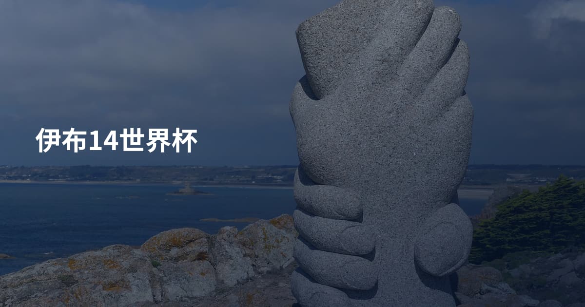 伊布14世界杯