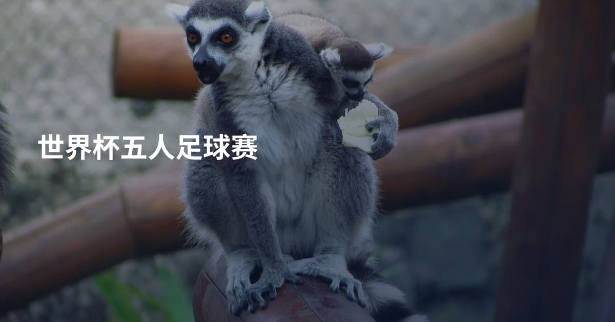 世界杯五人足球赛