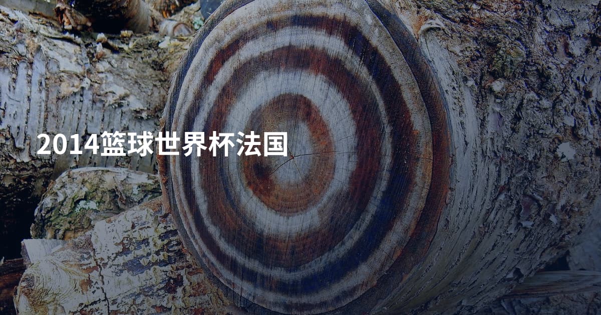 2014篮球世界杯法国