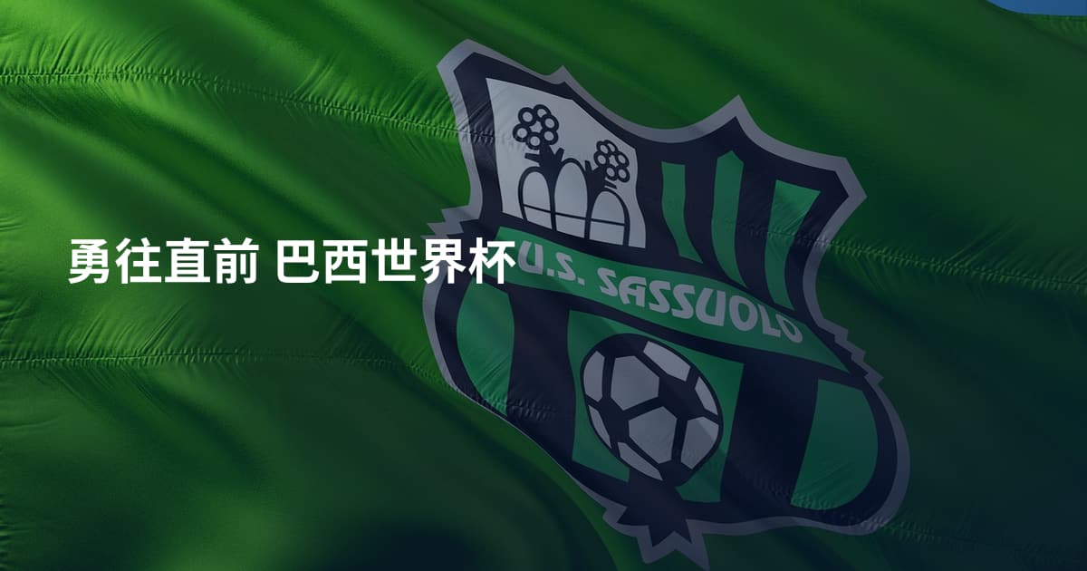 勇往直前 巴西世界杯