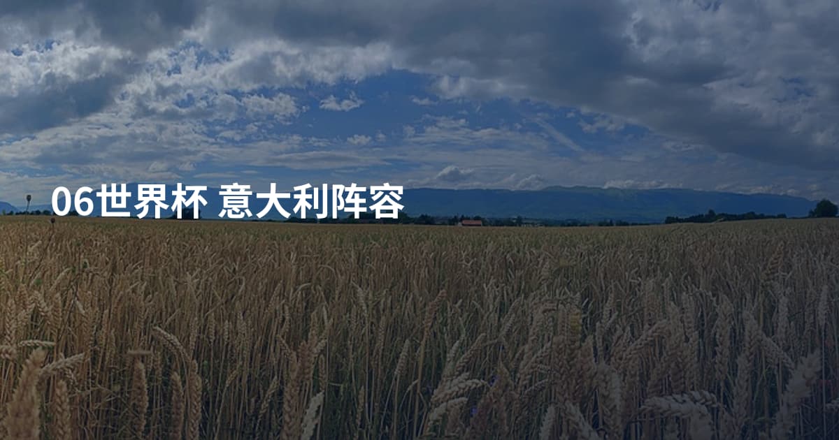 06世界杯 意大利阵容
