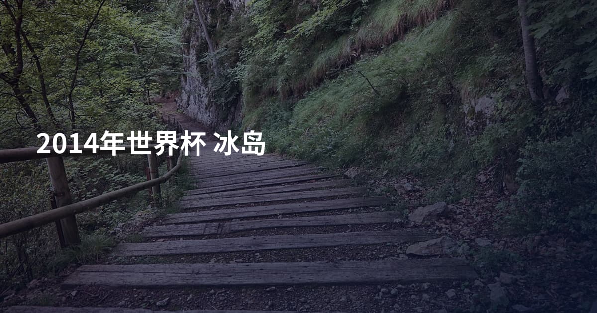 2014年世界杯 冰岛