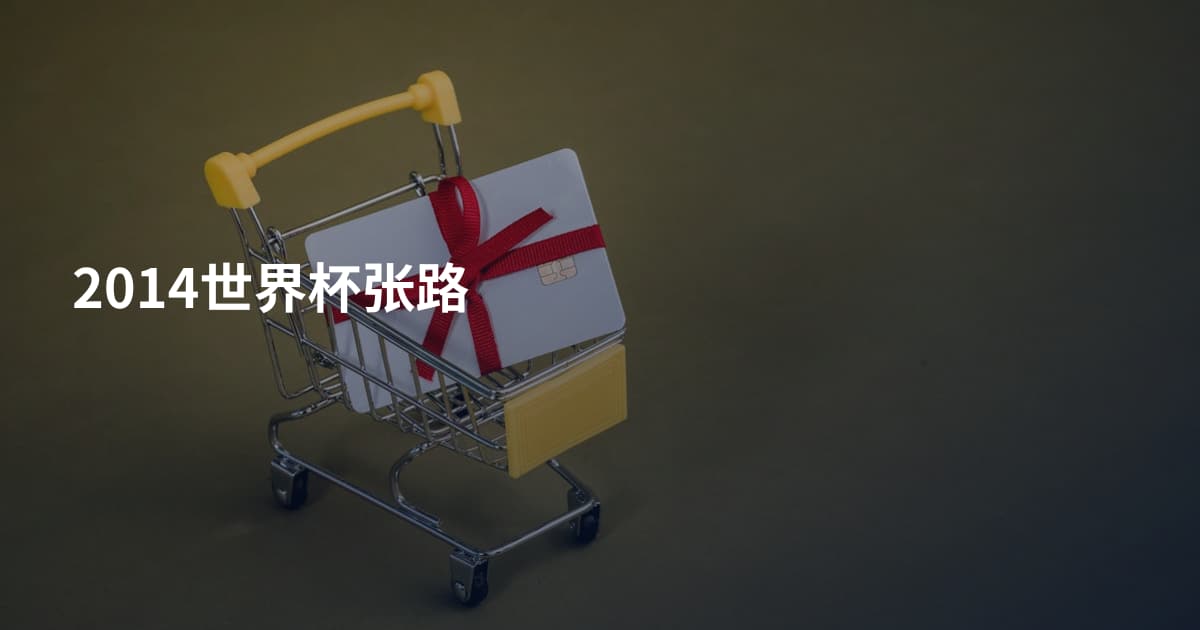 2014世界杯张路