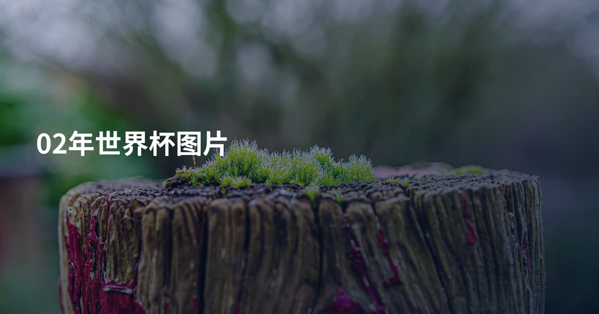 02年世界杯图片