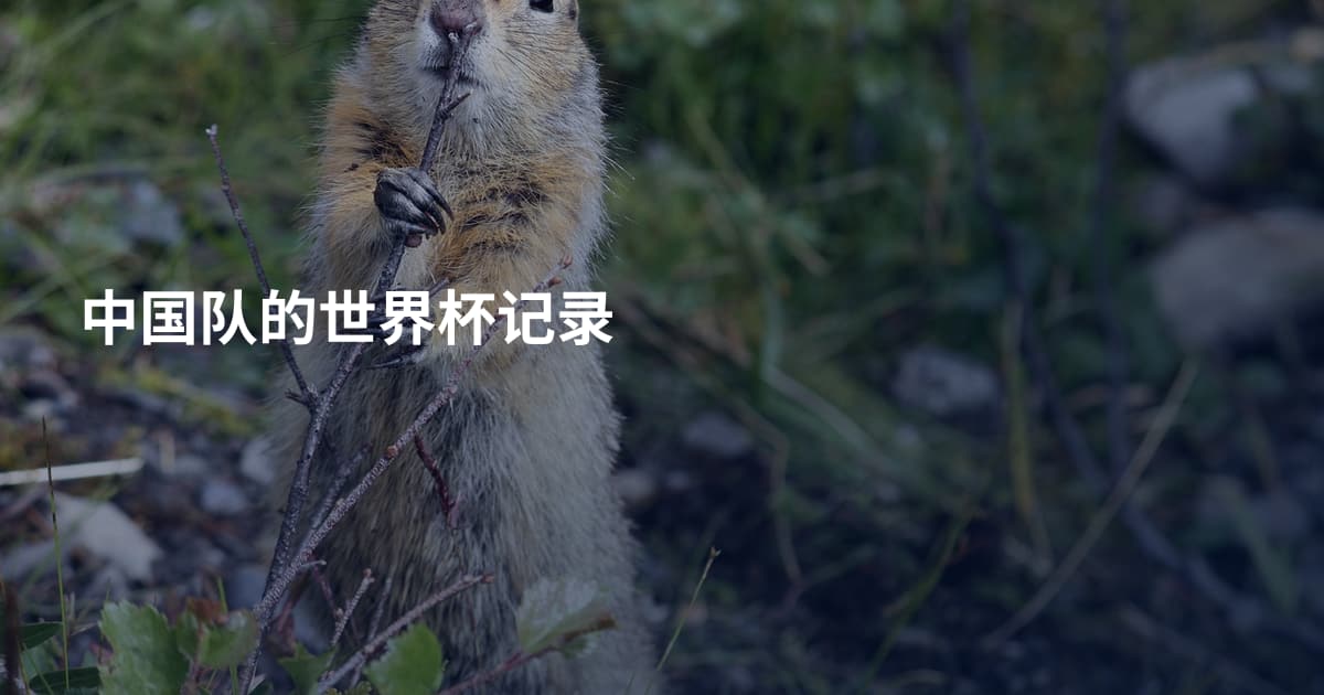 中国队的世界杯记录