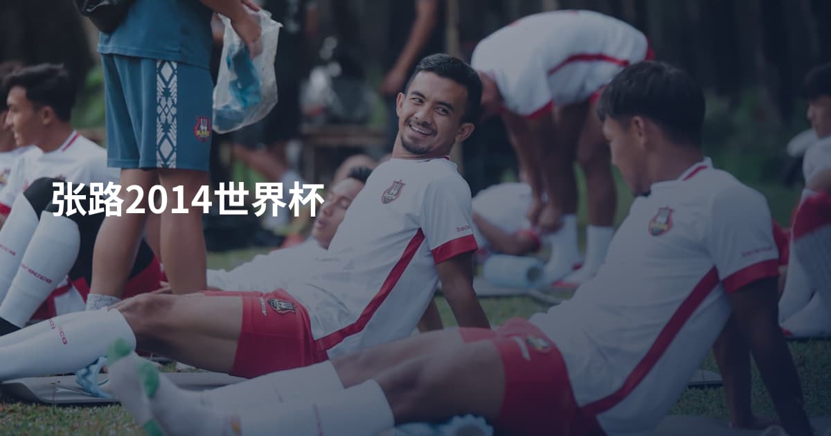 张路2014世界杯