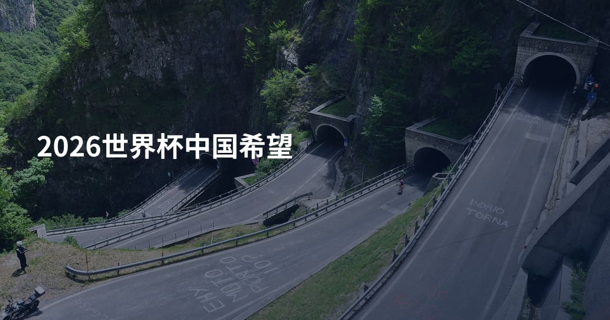 2026世界杯中国希望