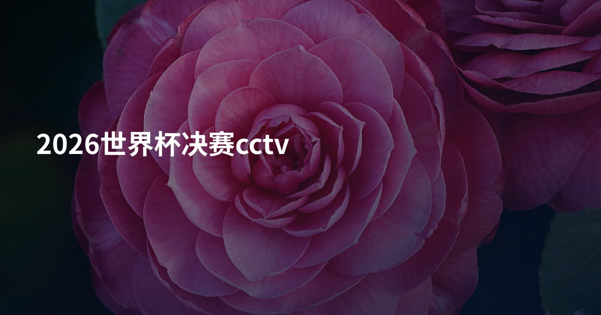 2026世界杯决赛cctv
