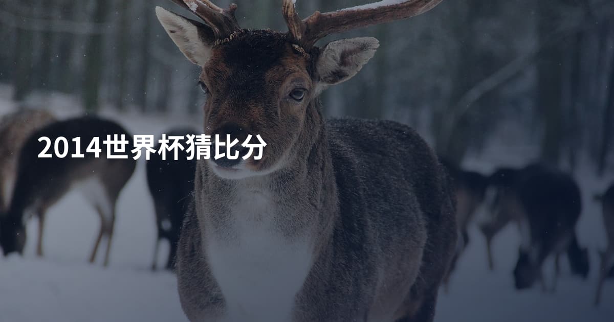 2014世界杯猜比分