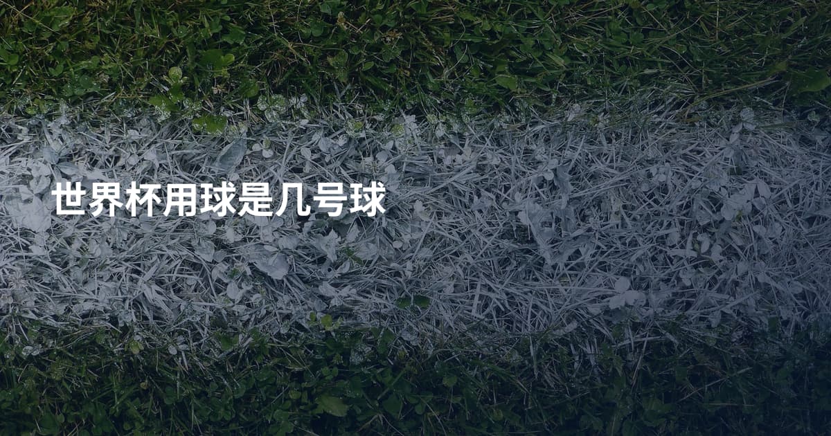 世界杯用球是几号球