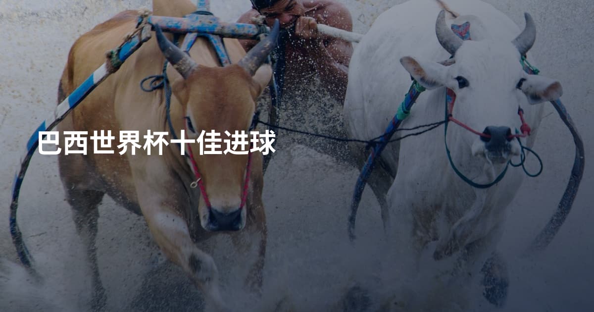 巴西世界杯十佳进球