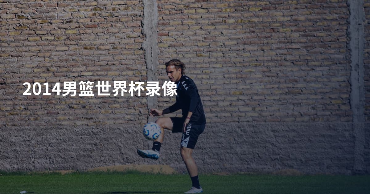 2014男篮世界杯录像