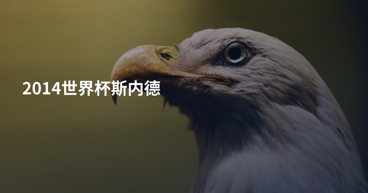 2014世界杯斯内德