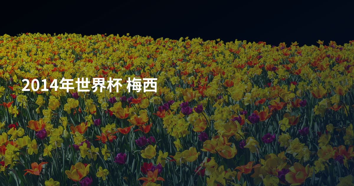 2014年世界杯 梅西