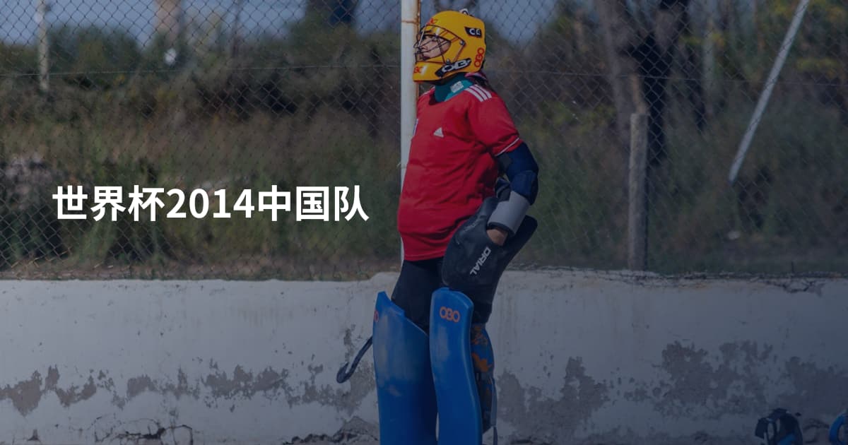 世界杯2014中国队