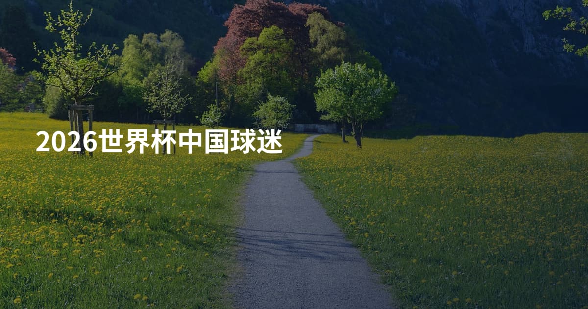 2026世界杯中国球迷