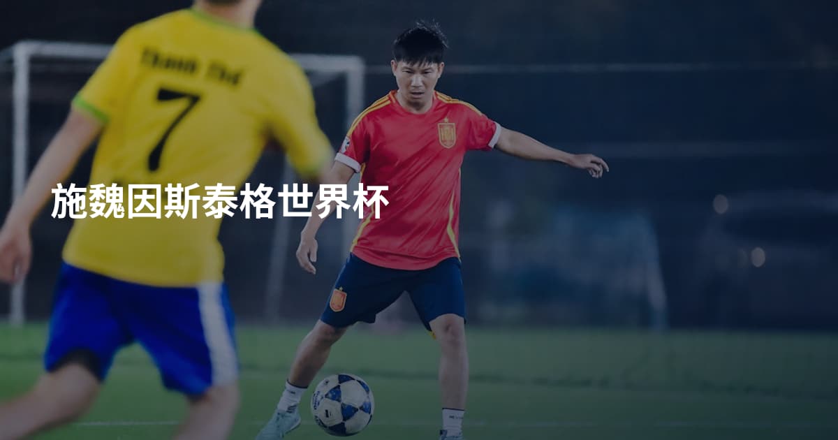 施魏因斯泰格世界杯