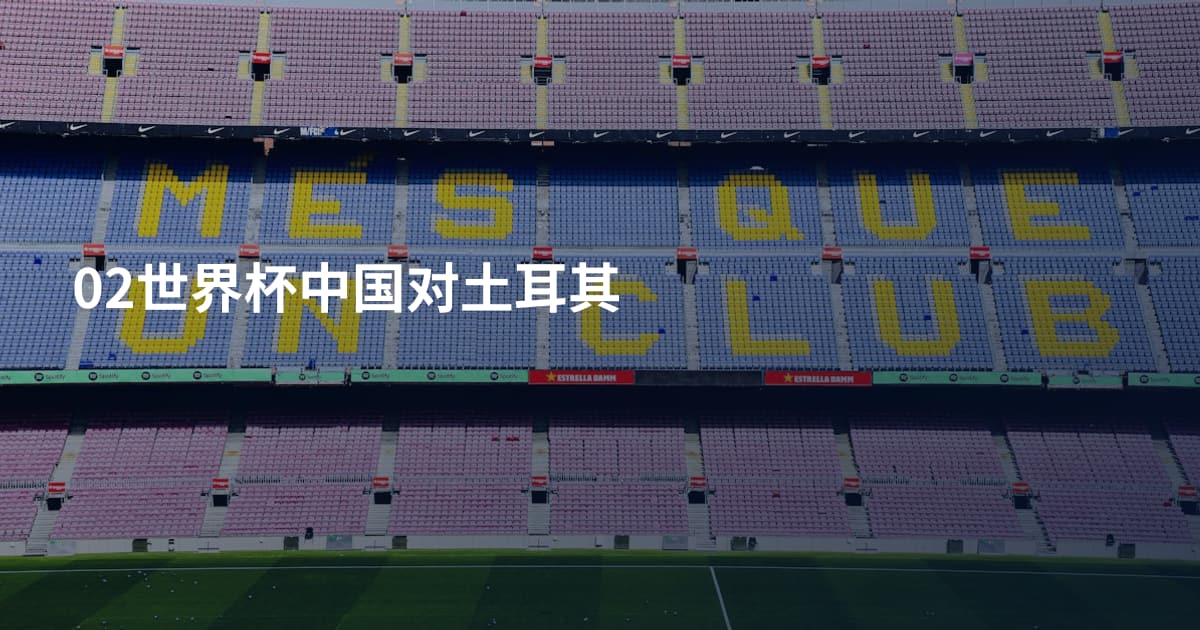 02世界杯中国对土耳其