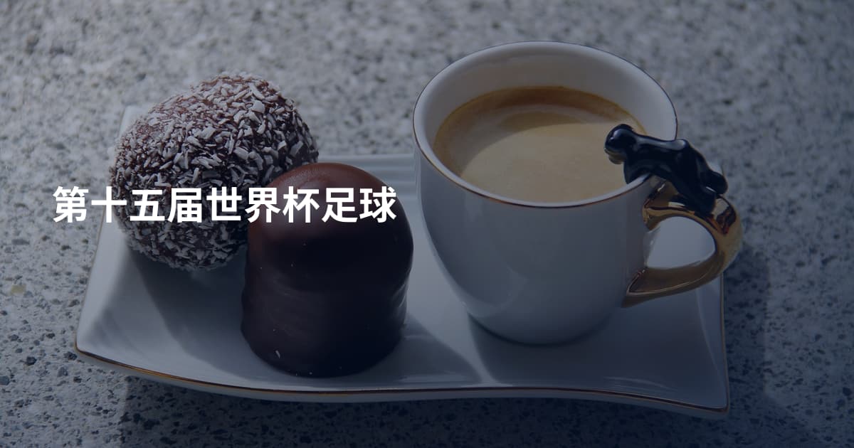第十五届世界杯足球