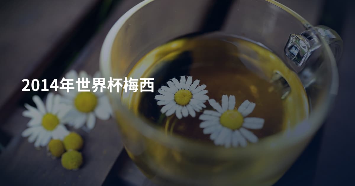 2014年世界杯梅西