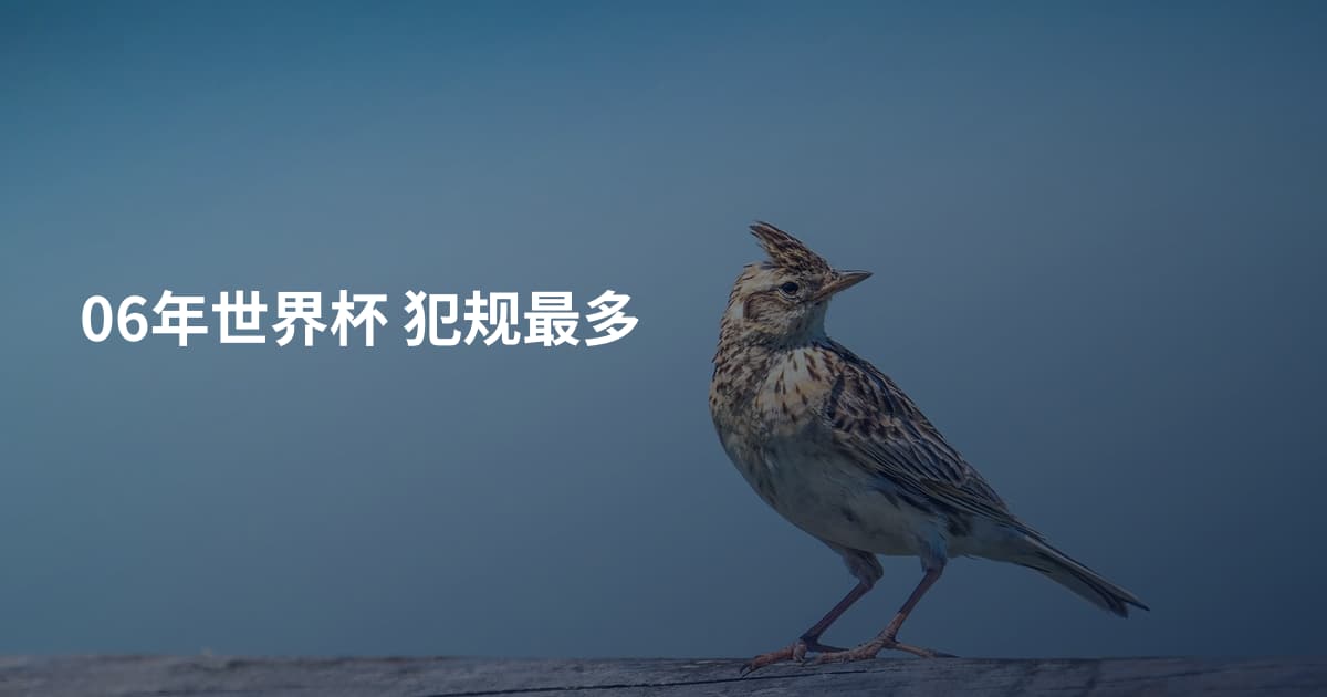 06年世界杯 犯规最多
