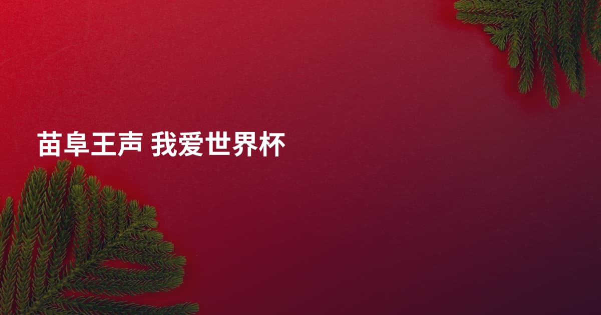 苗阜王声 我爱世界杯