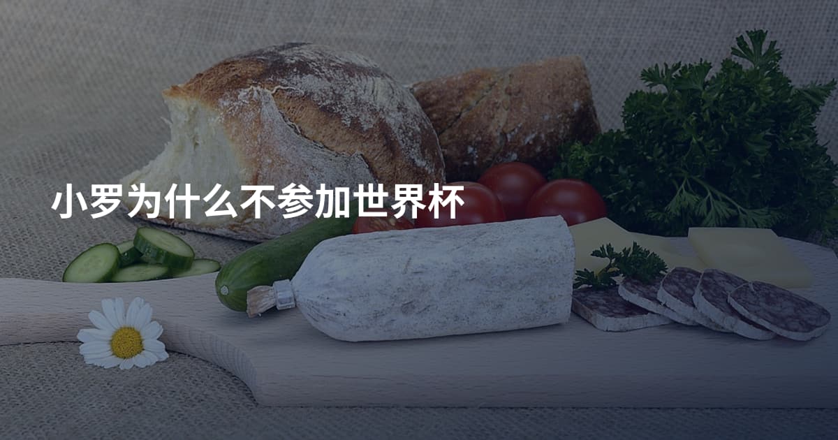 小罗为什么不参加世界杯