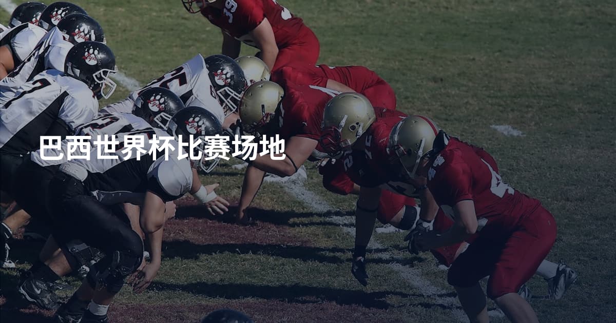 巴西世界杯比赛场地