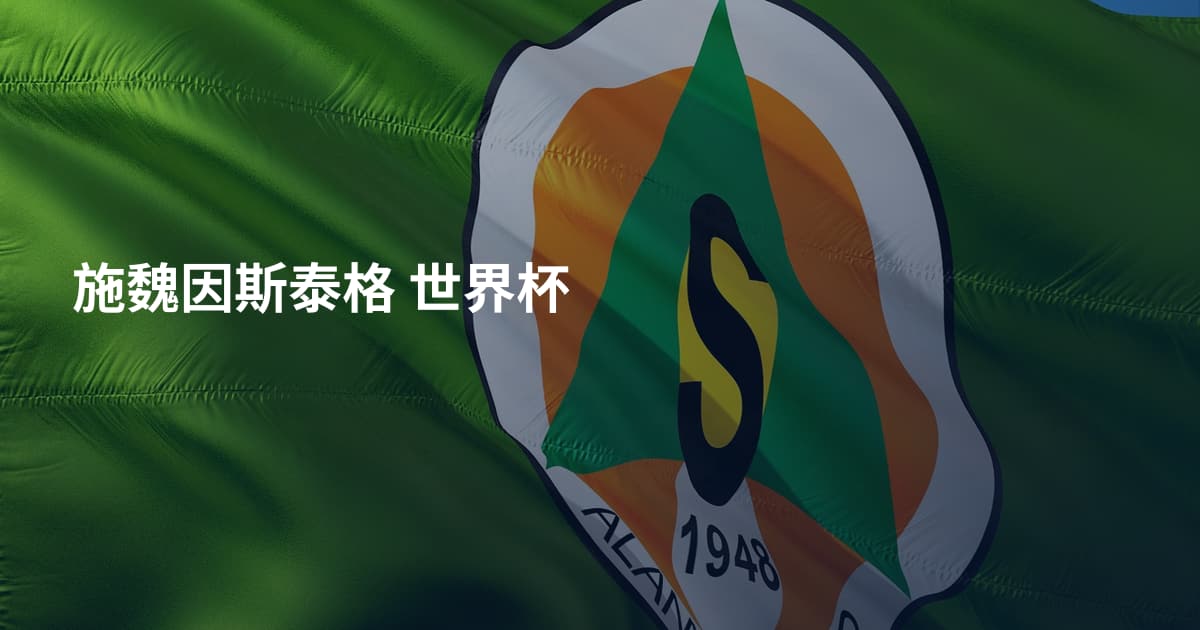 施魏因斯泰格 世界杯