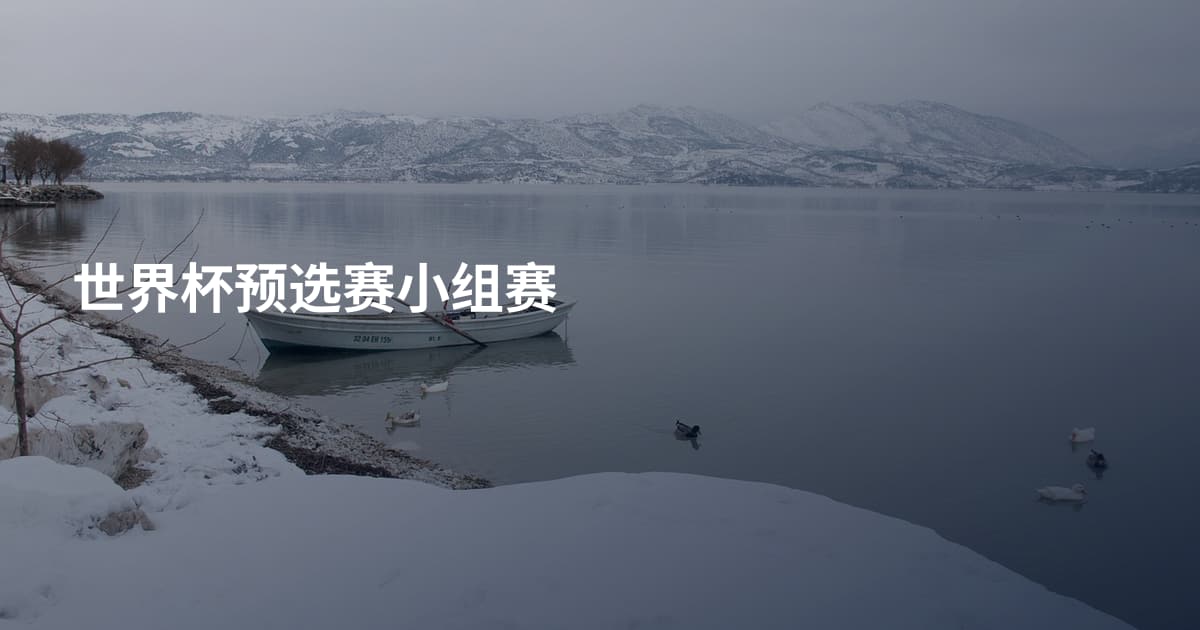 世界杯预选赛小组赛