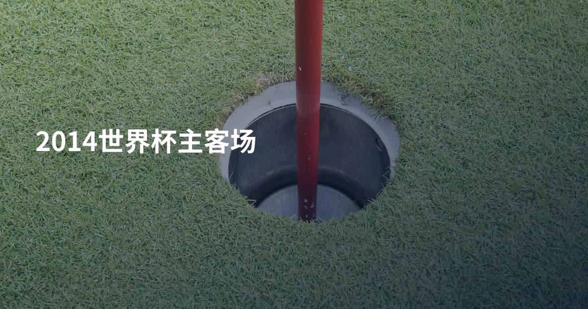 2014世界杯主客场