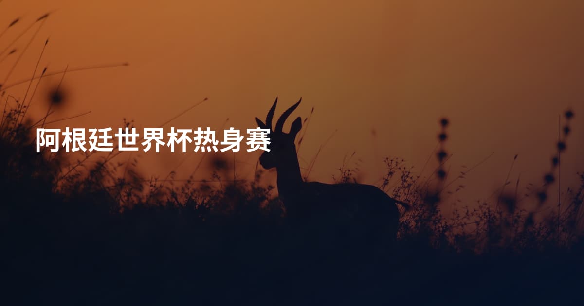 阿根廷世界杯热身赛