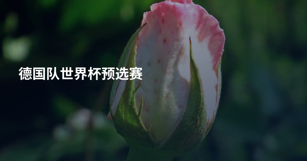 德国队世界杯预选赛