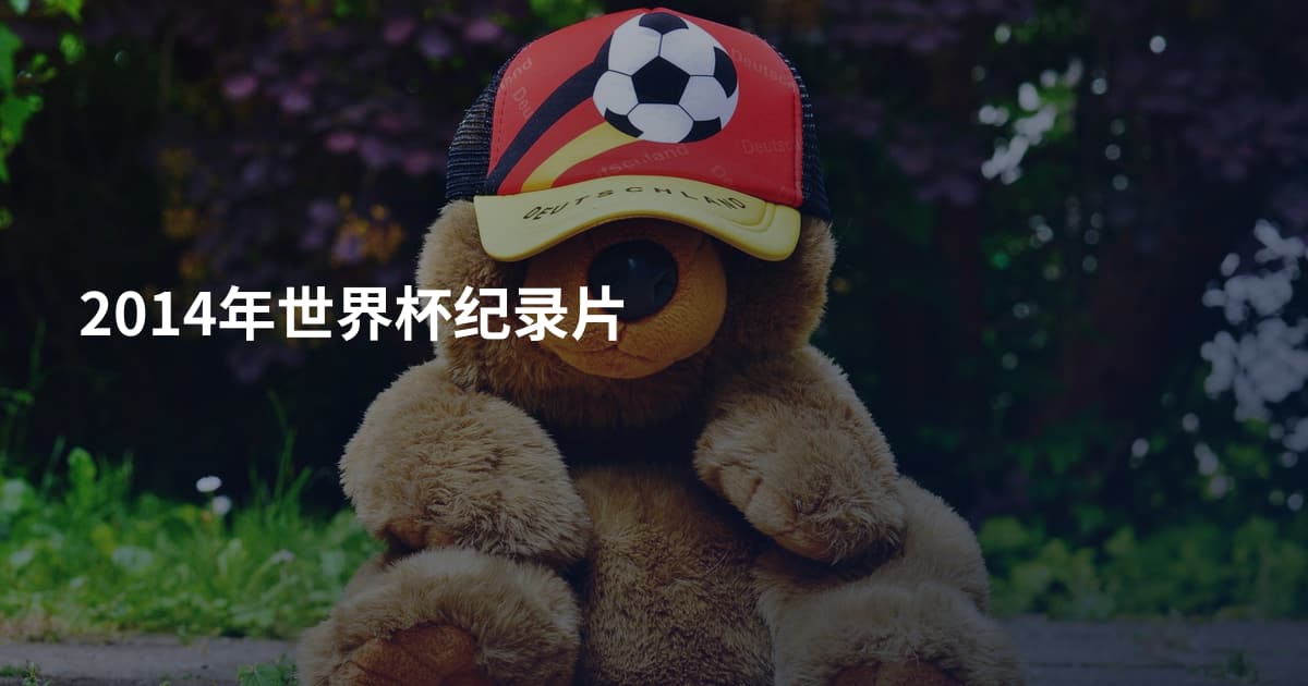 2014年世界杯纪录片