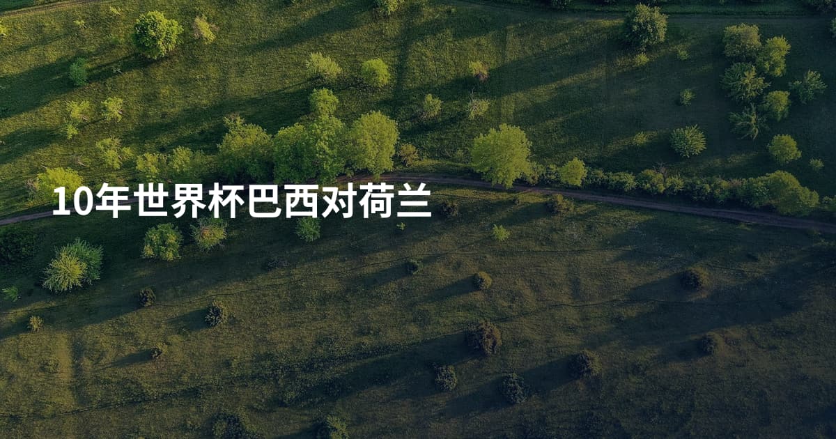 10年世界杯巴西对荷兰